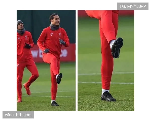 范戴克肌肉伤病恢复